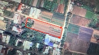 Chính chủ cho thuê đất diện tích lớn tại trung tâm Tân Hưng, TP.BàRịa