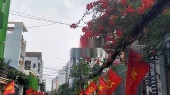 🌈 Cho thuê NNC HXH 4PN Tân Cảng P25 Bình Thạnh