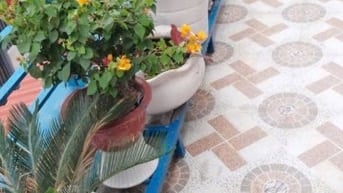 Nhà phố một lầu khu dân cư hiện hữu 