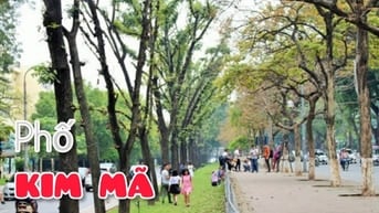 Ảnh đại diện