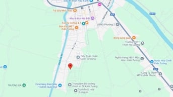 100m2 thổ cư (5x20) đường Nguyễn Tri Phương TX Kiến Tường Giá 1,65 tỷ