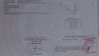 BÁN LIỀN LÔ ĐẤT GIÁ RẺ Ở TÂN AN HỘI-CỦ CHI VỚI GIÁ 450 TRIỆU