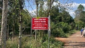 CTY ĐẤU GIÁ HỢP DANH TRỰC TUYẾN VIỆT NAM (VNOA) TỔ CHỨC ĐẤU GIÁ