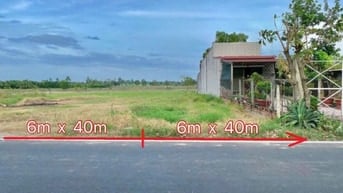 Bán đất đường Hồ Văn Tắng, Củ Chi. Mặt tiền kinh doanh 12m, giá 710Tr