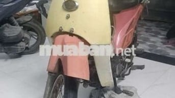 Kawasaki Max