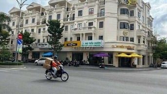 Siêu Phẩm!!! Cho thuê 2 căn liền kề mặt tiền đường số 3 KDC Cityland