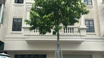 Siêu Phẩm!!! Cho thuê 2 căn liền kề đườngsố 3 KDC Cityland GV_DT:10x20