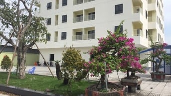 Bán căn hộ Tecco Tower, sổ hồng, chính chủ, gần Kcn Vsip1