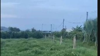 Cho thuê 2000m2 đât trồng cây lâu năm để sản xuất, phục vụ hoa màu