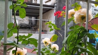 Bán nhà tầng 3 biệt thự Pháp phố cổ một nhà ra mặt phố