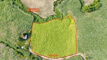 2.516m đất Nông nghiệp giá 250tr giáp suối tại Ninh Thượng - Ninh Hoà