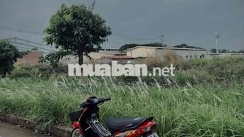 alpha lên zx máy làm nhẹ êm keng sạch sẽ