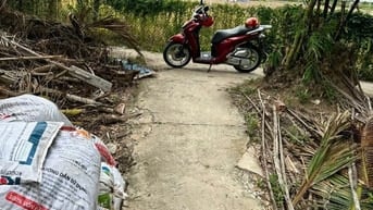 💧🔥Đất 1173m2 có 300m2 thổ cư tân trụ ,long an