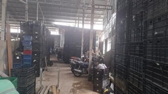 Đất trang trại hạ tầng hoàn chỉnh cần bán