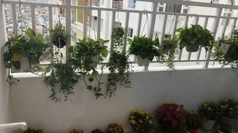 TÔI CHỦ NHÀ BÁN ĐÚNG GIÁ CAO ỐC B NGÔ GIA TỰ 2PN,2WC GIÁ 2,85 TY