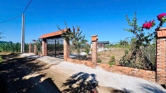 Bán Gấp Nhà Vườn Liền Kề Hồ Đã Xây Rào Và Trồng Cây Ăn Trái Chỉ 1.5 Tỷ