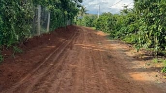 Bán 2,8 ha Sầu Riêng 9 năm tuổi và Cà Phê, cho tặng kèm 1,2ha