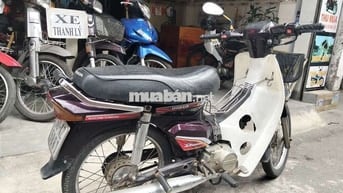 Xe dream longcin