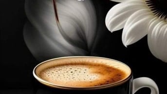 🎯 TUYỂN NHÂN VIÊN PHA CHẾ CAFE