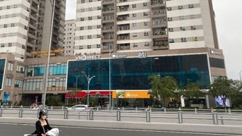 Cho thuê mặt bằng làm Showroom, Ngân hàng, Siêu thị tại 43 Lê Văn Lươn