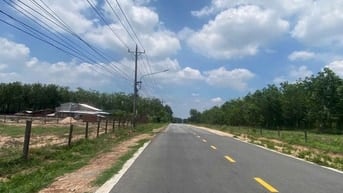 bán đất dầu tiếng 3000m giá bán 2 ty mật tiền nhựa 12 