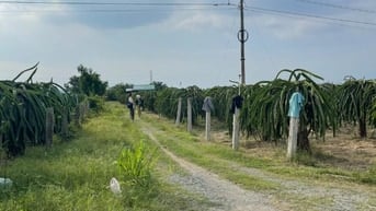 Bán đất Thanh Long cách Phan Thiết 16km, ngay trạm thu phí Sông Phan, 