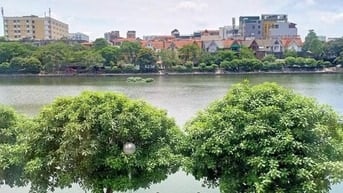 🇻🇳 Biệt Thự Hồ Văn Quán - Đường 19/5 225m2 x 3tầng mt: 26m Q.Hà Đông