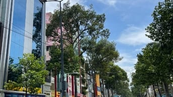 Nhà MT ID452 An Dương Vương (Trần Bình Trọng). DT 4.8x21m, 3 tầng