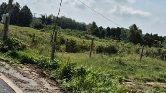 cần bán đất phú giáo đường dh 504 ngang 25m dài 50m có 300m thổ cư