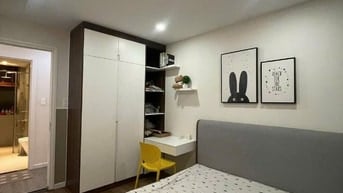 Chung cư Carillon 2, TRịnh Đình Thảo, TP: 2p ngủ, full nt mới, 11tr/th
