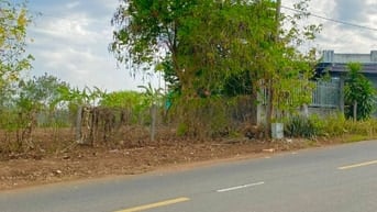 BÁN ĐẤT NÔNG NGHIỆP( CLN ) MẶT TIẾN ĐƯỚNG 15M. BÀ RỊA VŨNG  TÀU