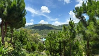 6000m2 mặt tiền B'Lao Xê Rê, đã tạo sẵn view 360, khu dân cư