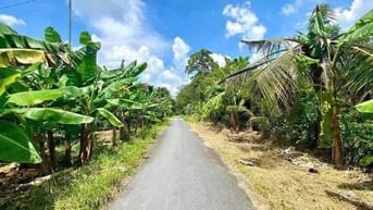 Nền 150m2 Thuộc Rạch Xẻo Đế Thuộc Trường Lạc Ô Môn - Gần  Chợ 