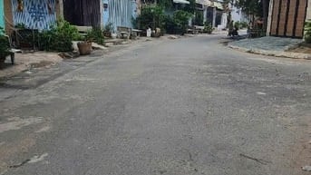 cho thuê nhà nguyên căn p14 go vấp 