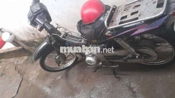 Angel Hi 80cc