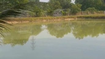 cho thuê lâu dài đất có sẳn ao tiện chăn nuôi kinh doanh dv 10.000m2