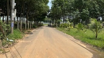 🌿 LÔ GÓC 2 MẶT TIỀN – VỊ TRÍ ĐẮC ĐỊA ĐỂ XÂY BIỆT THỰ NGHỈ DƯỠNG GIÁ 9