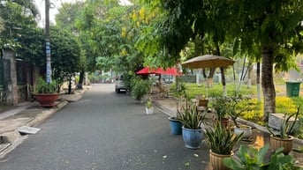 Bán milihome mặt tiền đường Bạch Dương, Phường Hiệp Thành, Quận 12