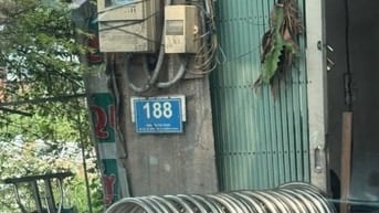 Bán đất trông cây ăn trải lâu năm