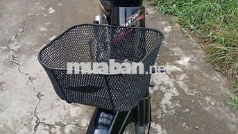 Cần bán honda nhật