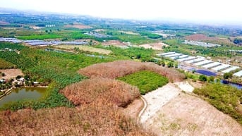 1600m2 mt hơn 80m Phú Ngọc đường ô tô giá 790tr