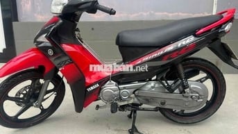 sirut xin cực chắt