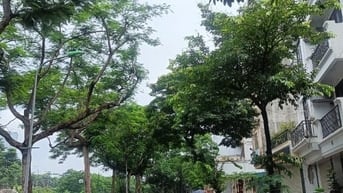 Mặt phố cầu giấy,kinh doanh sdt 0983863583 