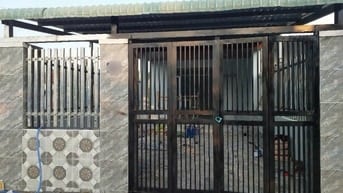 Cần tiền bán nhà cấp 4. DT 122,7m2 ở Hóc Môn giá 850 triệu.