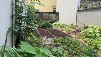Chính chủ bán mảnh đất đường Mỹ Đình, 129m2, mặt tiền 6.2m, chỉ 12.8