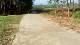 Cho thuê đất trống thích hợp làm trang trại vườn 