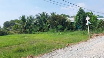 NGỘP cần bán gấp 1223m2 chỉ 1ty6 ( 1tr3/m2) MT Nguyễn Thị Thạo Củ Chi