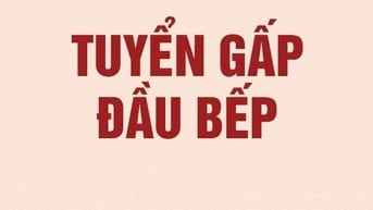 TUYỂN ĐẦU BẾP CHÍNH NẤU TẠI BẾP ĂN TRƯỜNG HỌC