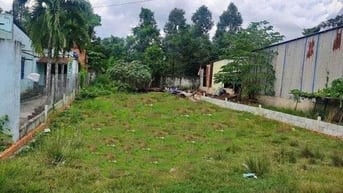 Chủ ngộp ngân hàng bán gấp lô 282m2, Tân An Hội, Củ CHi, SHR, 2,32 tỷ.
