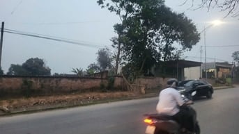 Cần bán gấp đất 1.154m2 đất thổ cư mặt tiền 25.5m đg Lạc Hồng Việt Trì